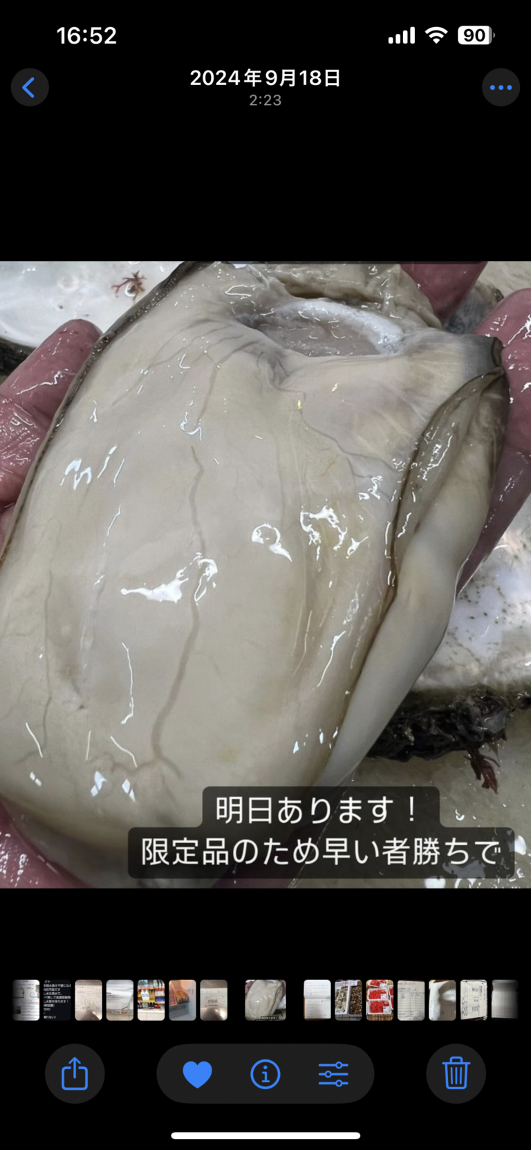 🦪 愛知県産 岩牡蠣 入荷のお知らせ